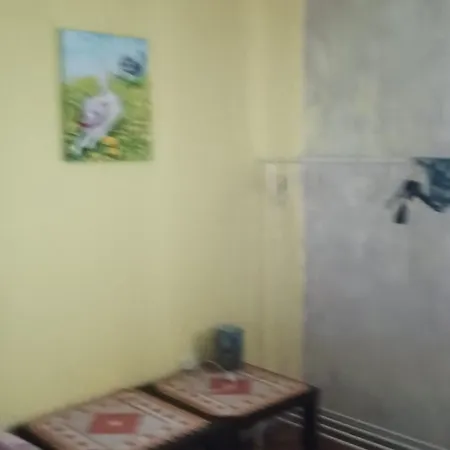 La Stanza Nella Foresta *